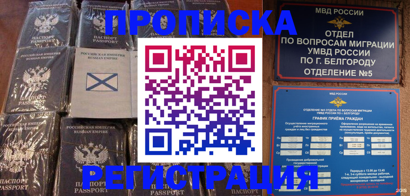 прописка гарантия в Луховицах